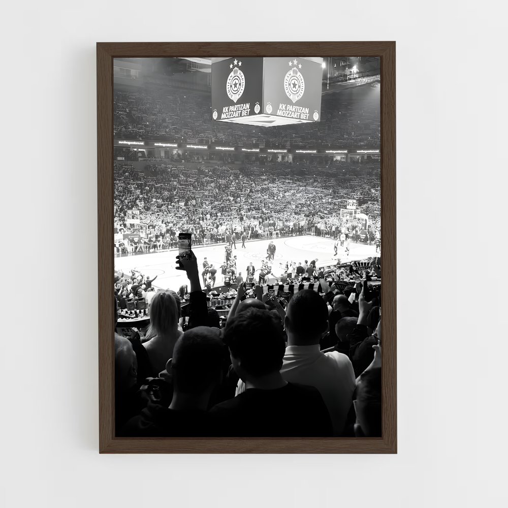 Poster Dans l'Arène – affiche Basketball (vue 5)